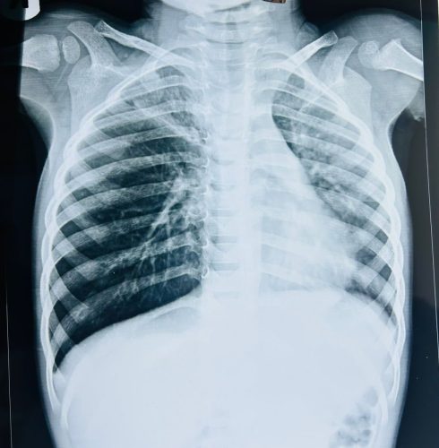 WhatsApp Image 2026-03-14 at 11.28.27 PM