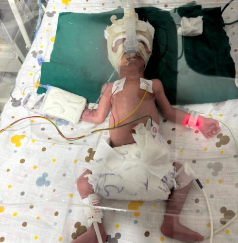 WhatsApp Image 2026-03-28 at 11.32.42 PM