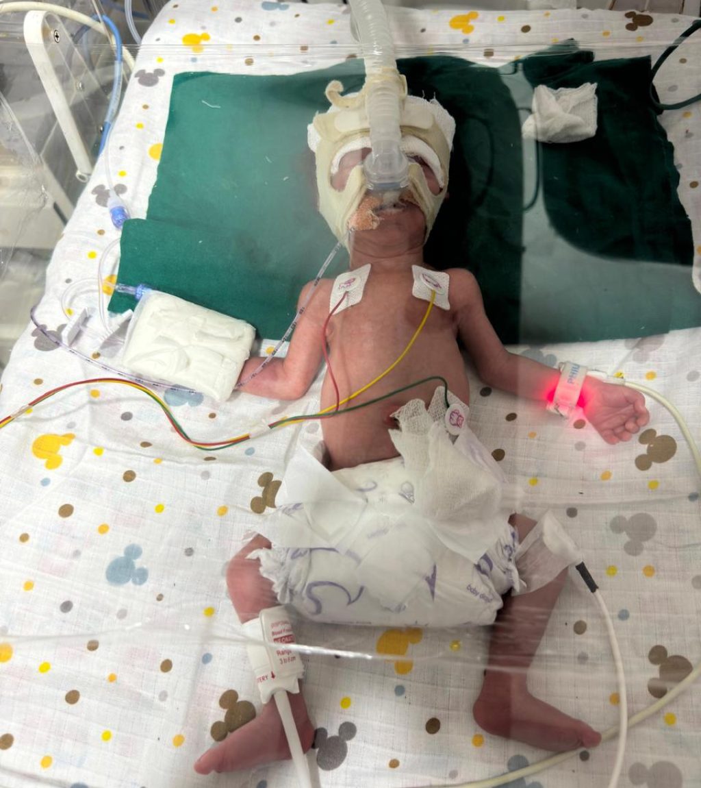 WhatsApp Image 2026-03-28 at 11.32.42 PM